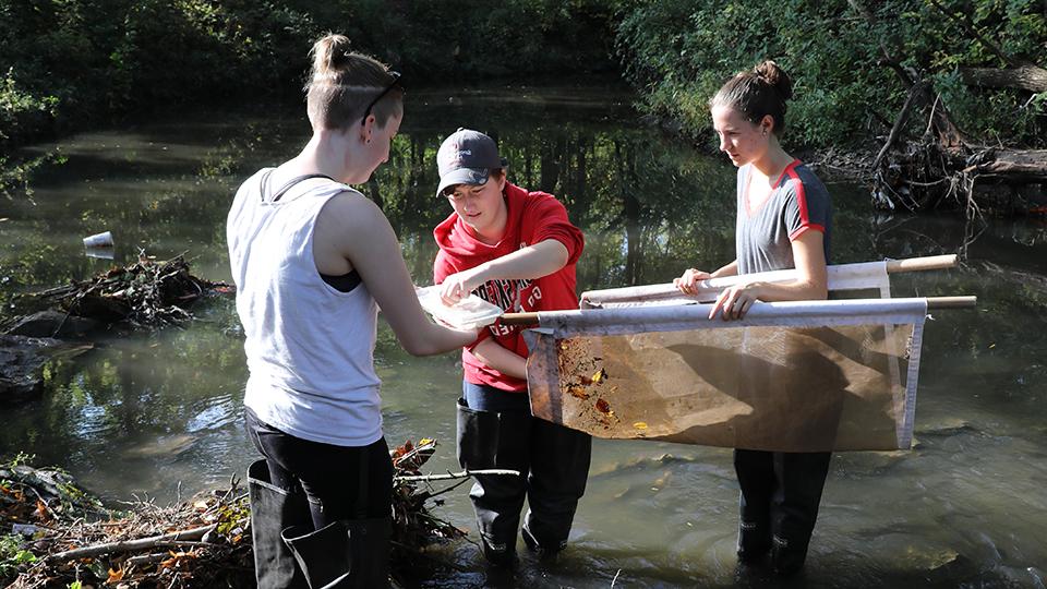 Three students holding a net by a pond and collecting samples